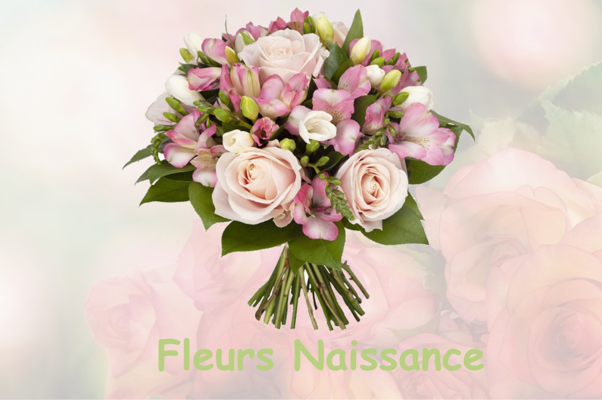 fleurs naissance LE-MAS-DE-TENCE